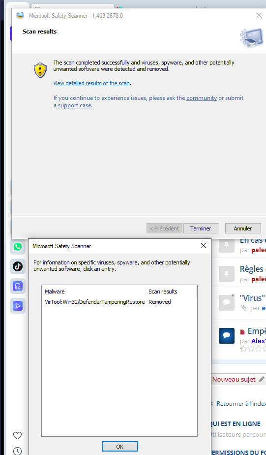 Scan rapide 26 janv .png